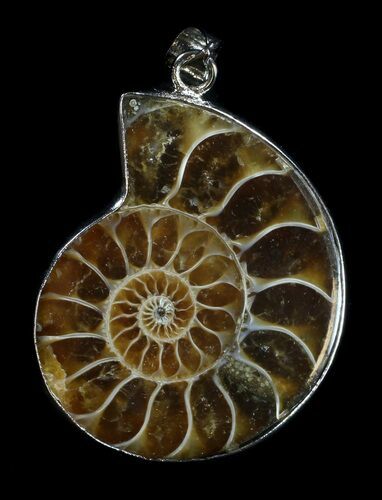 Fossil Ammonite Pendant - Million Years Old #35803
